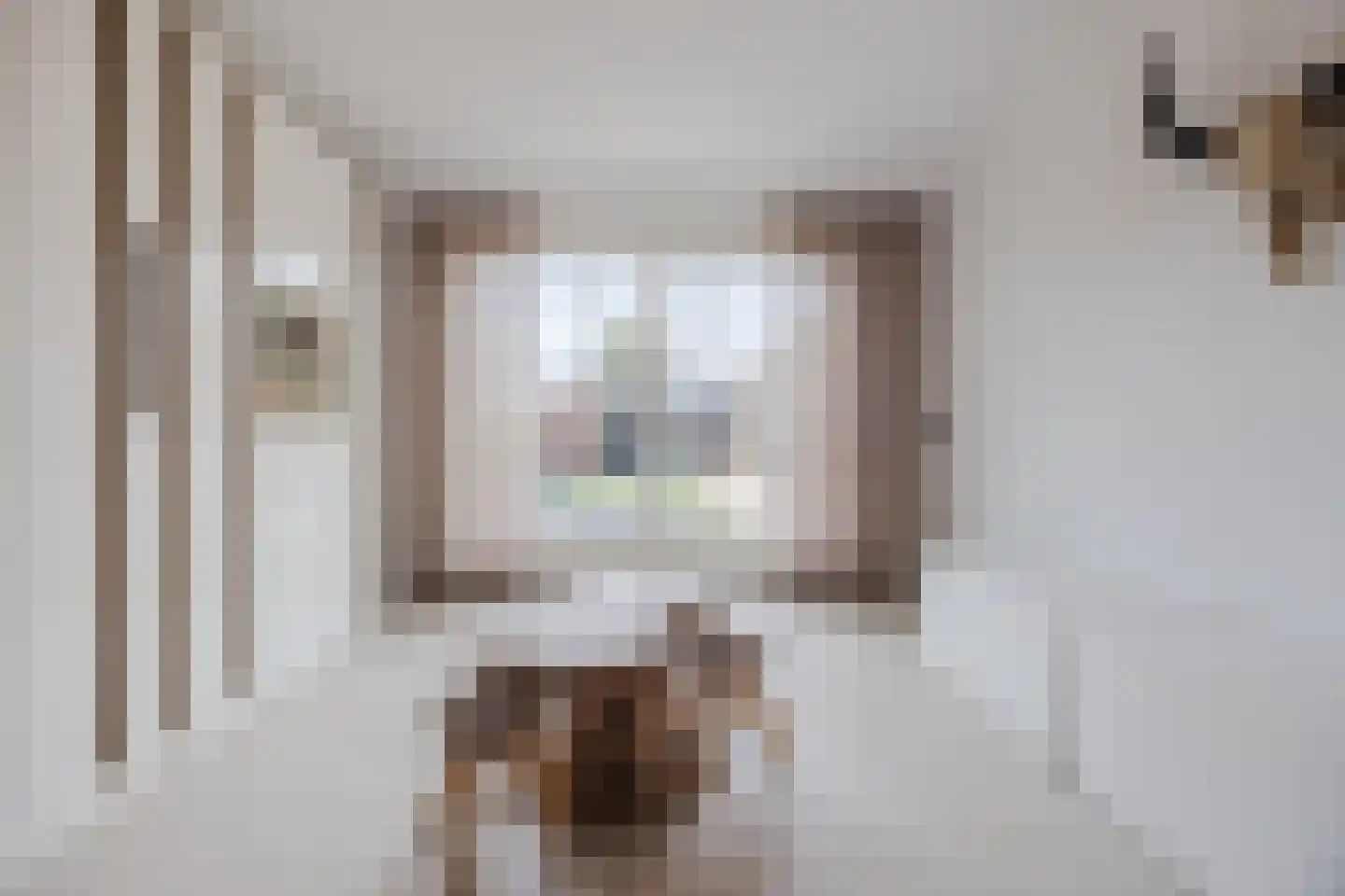Margrietstraat 24 St. Willebrord thumbnail 17