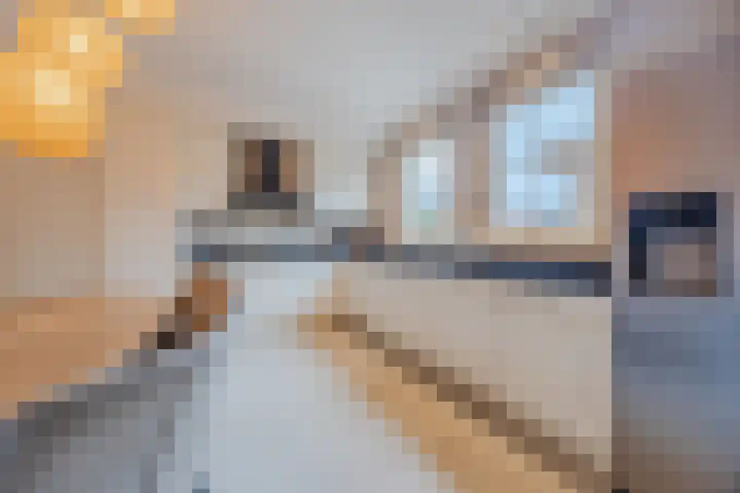 Margrietstraat 24 St. Willebrord thumbnail 20