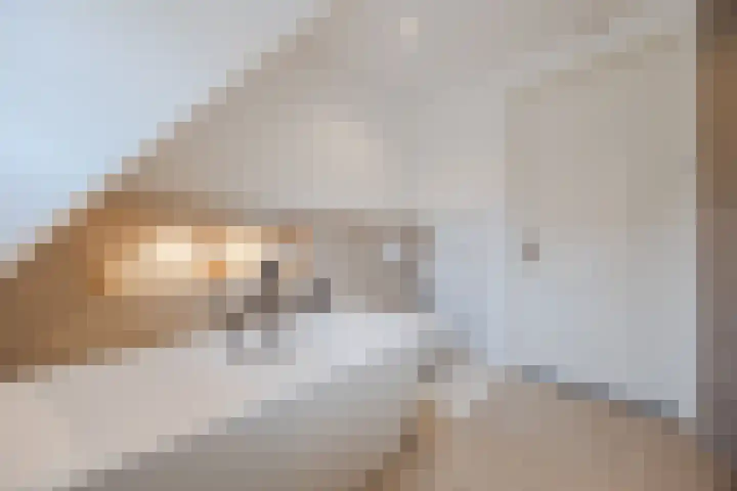 Margrietstraat 24 St. Willebrord thumbnail 49