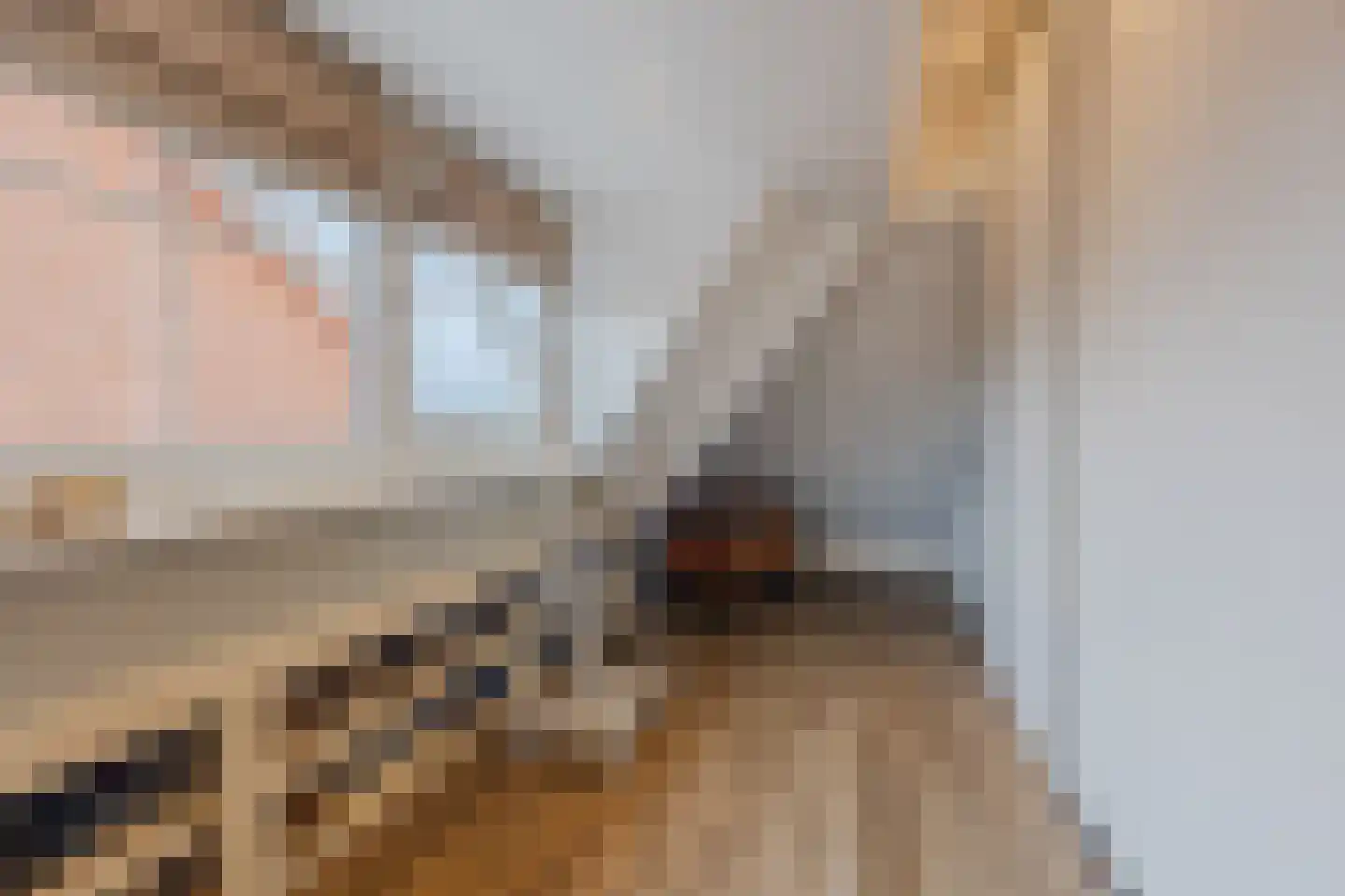 Margrietstraat 24 St. Willebrord thumbnail 53