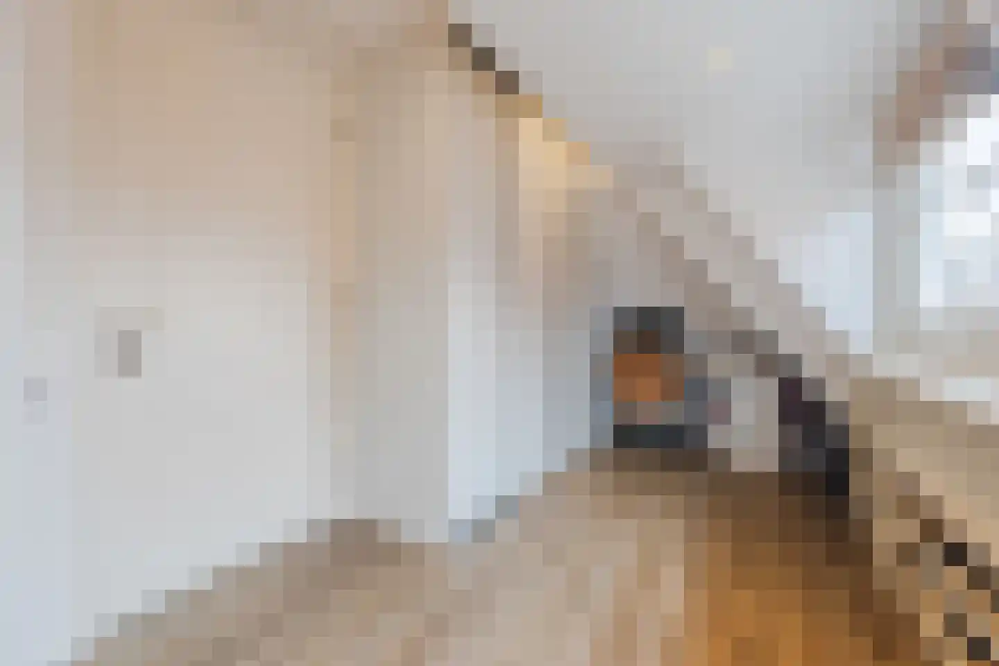 Margrietstraat 24 St. Willebrord thumbnail 54