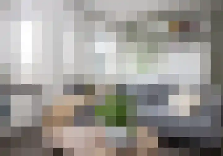 Margrietstraat 25 Uden thumbnail 15