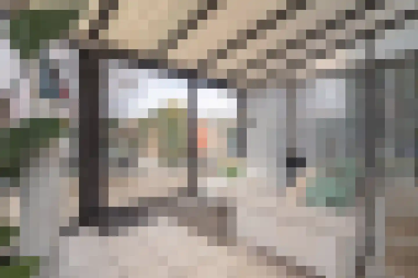 Margrietstraat 25 Urmond thumbnail 14