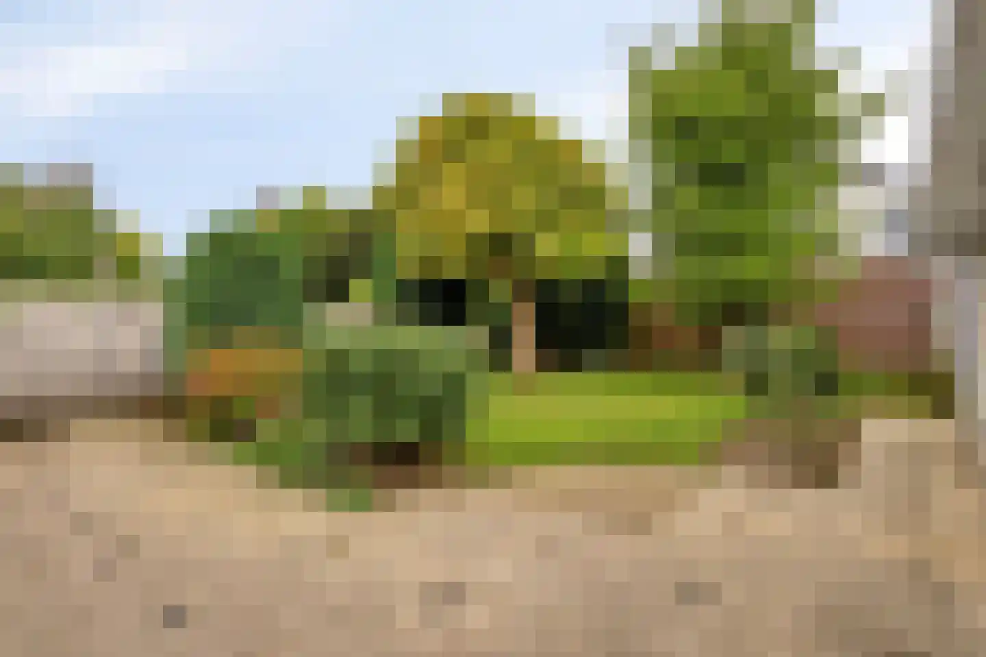 Margrietstraat 26 Cadier en Keer thumbnail 31