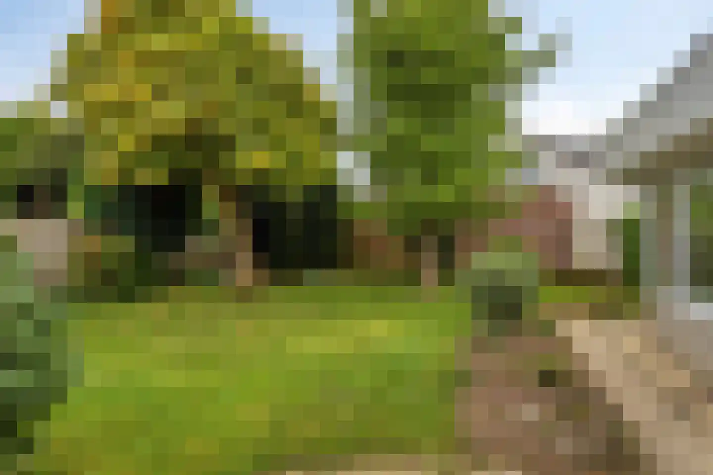 Margrietstraat 26 Cadier en Keer thumbnail 33