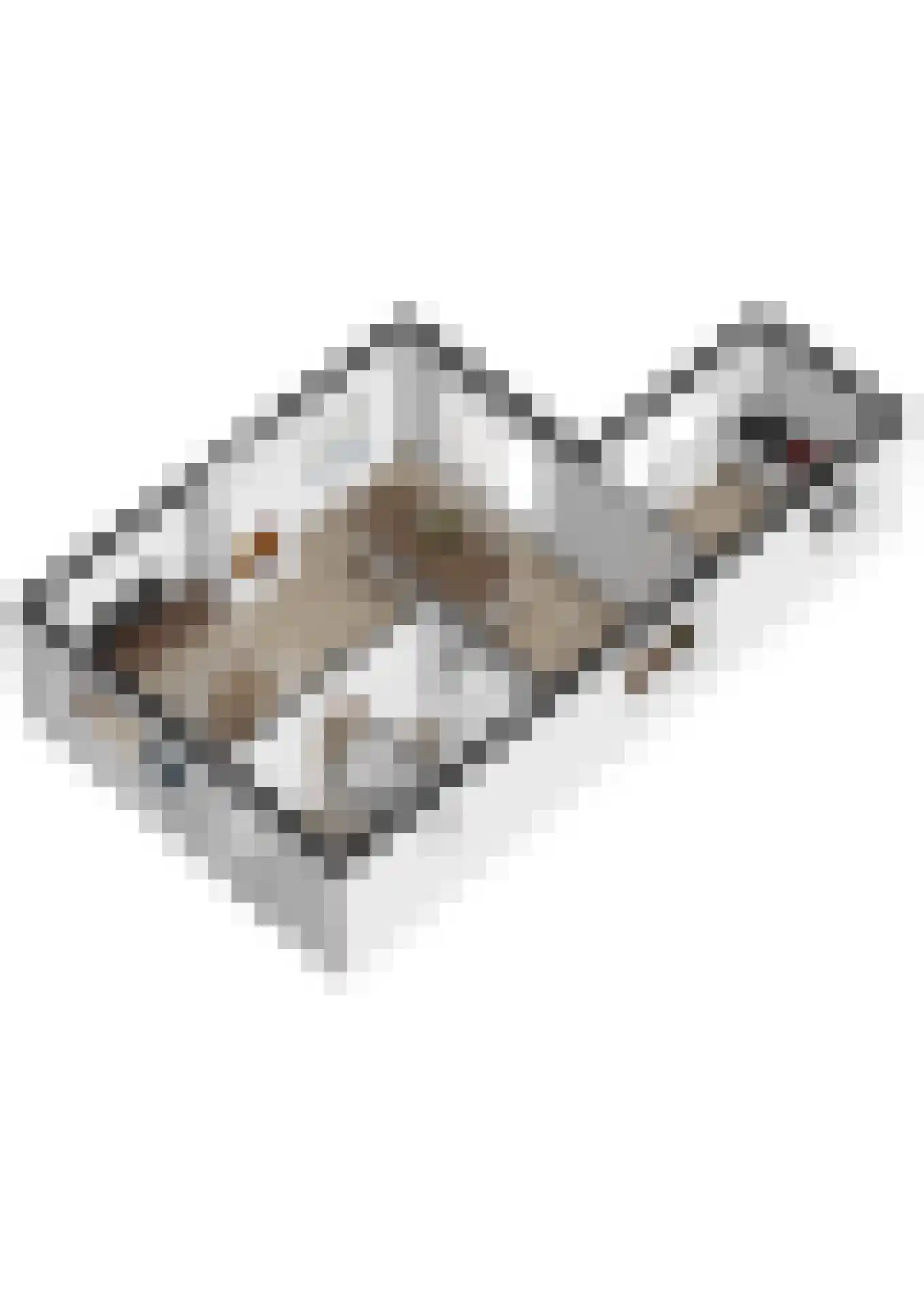 Margrietstraat 26 Veldhoven thumbnail 31