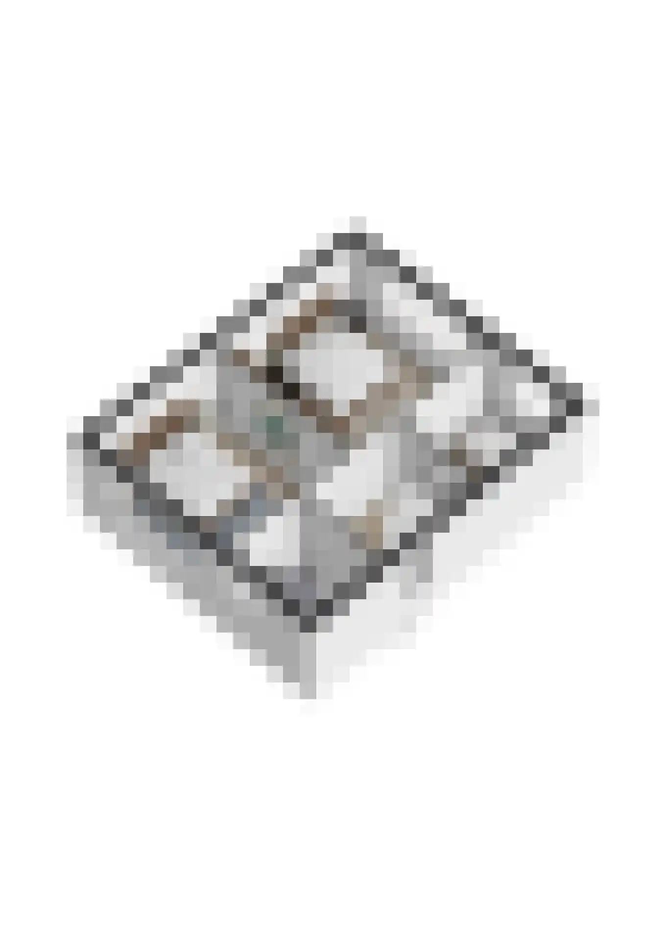 Margrietstraat 26 Veldhoven thumbnail 33