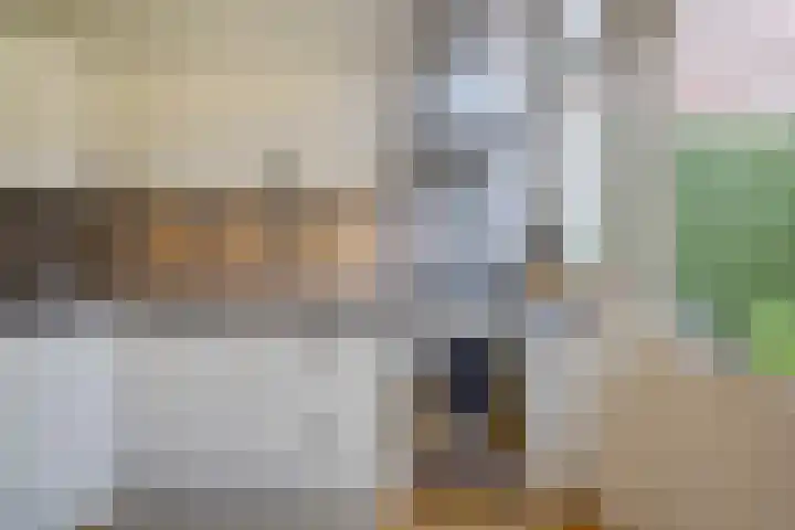 Margrietstraat 27 Den Haag thumbnail 17