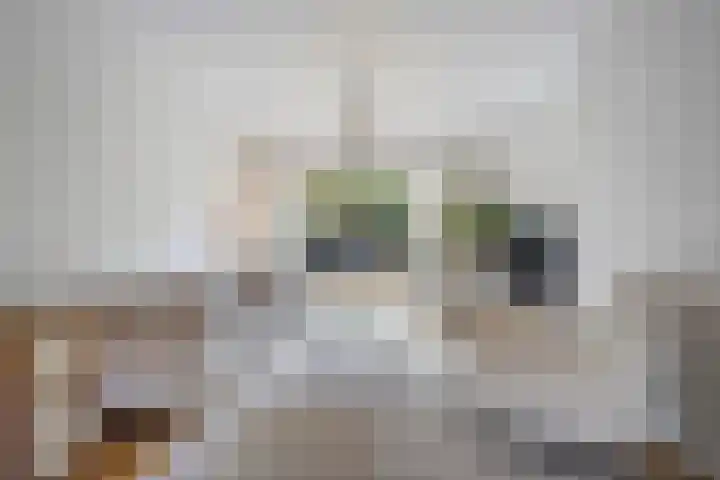 Margrietstraat 27 Den Haag thumbnail 8