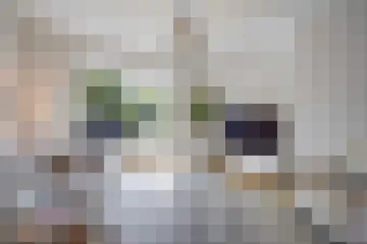 Margrietstraat 27 Den Haag thumbnail 9