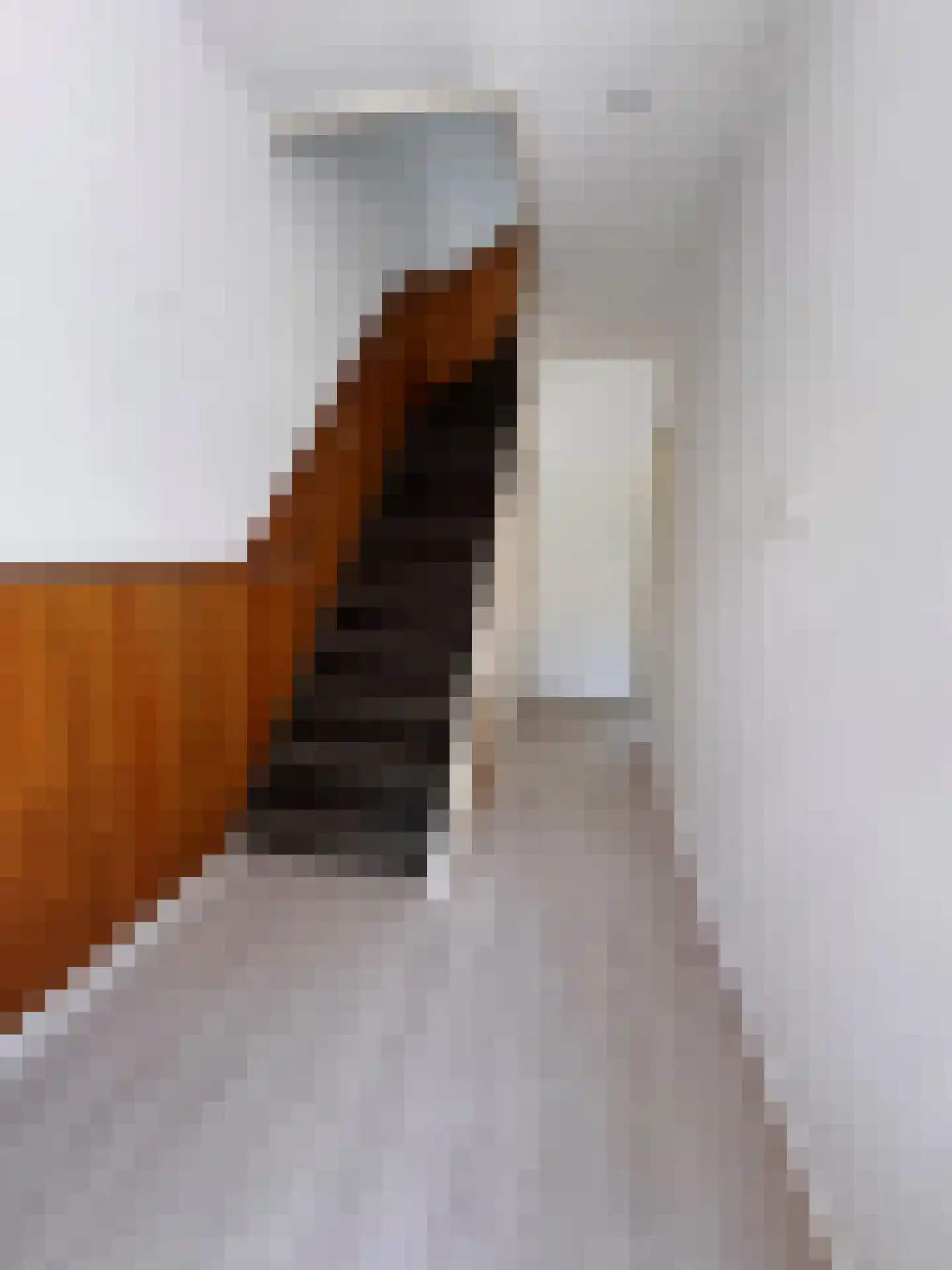 Margrietstraat 27 Terneuzen thumbnail 8