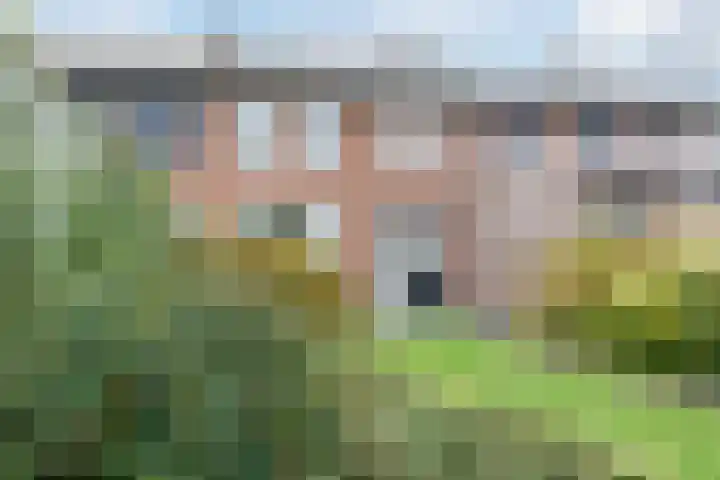 Margrietstraat 28 Erp thumbnail 25