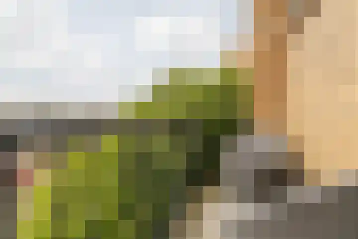 Margrietstraat 29 Beek thumbnail 33