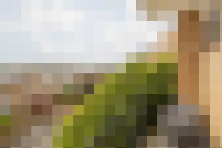 Margrietstraat 29 Beek thumbnail 34