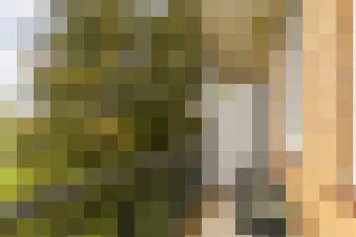 Margrietstraat 29 Beek thumbnail 36