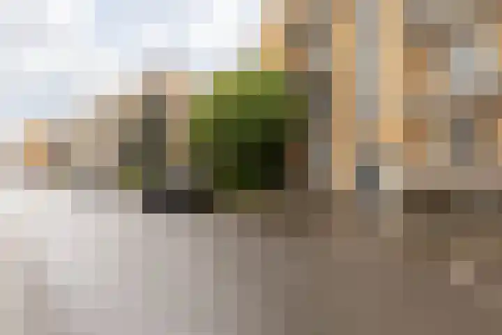 Margrietstraat 29 Beek thumbnail 7