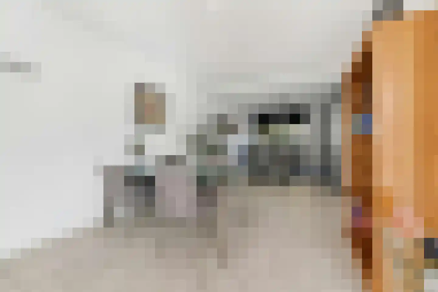 Margrietstraat 29 Breda thumbnail 18