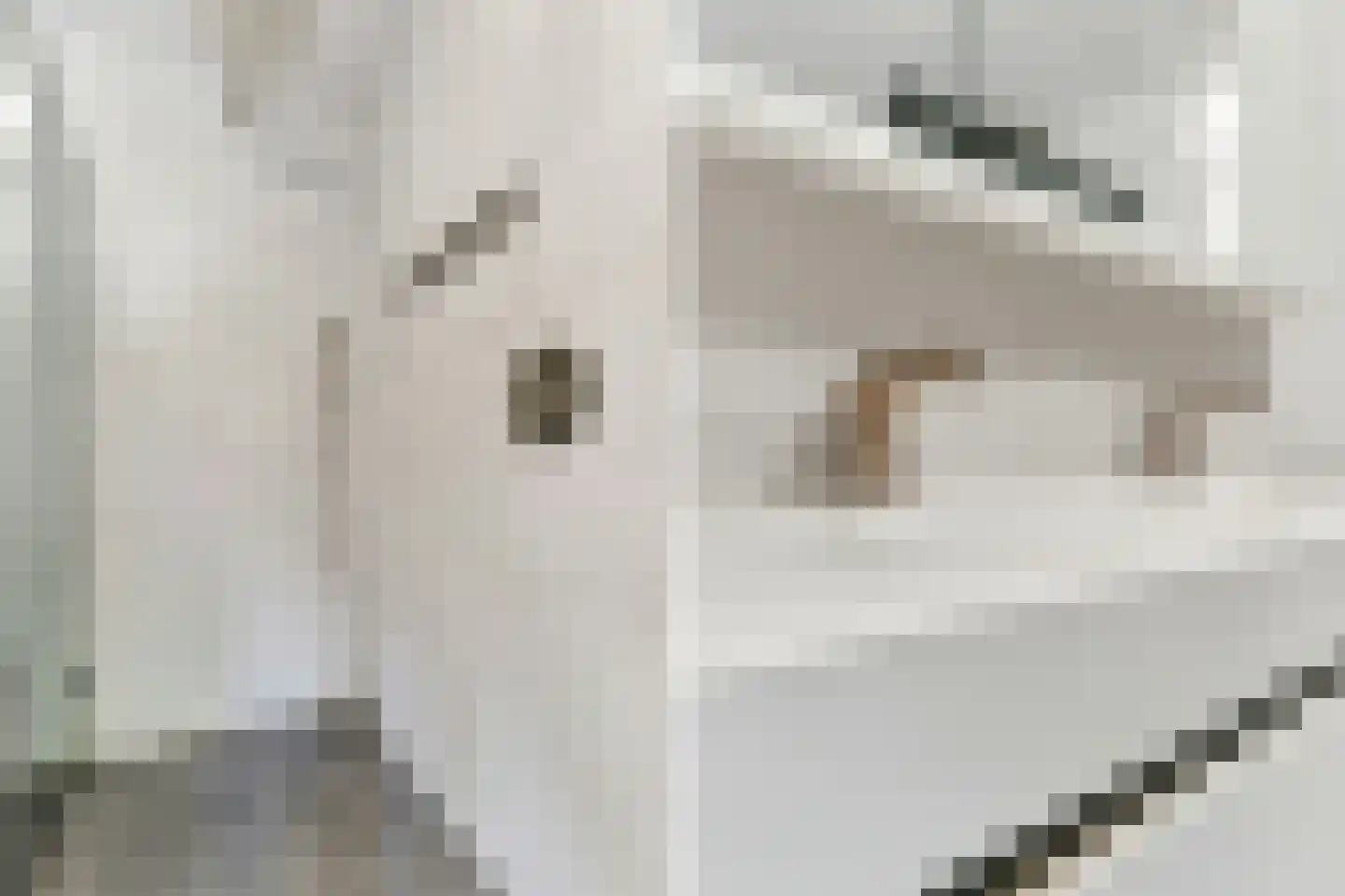 Margrietstraat 29 Breda thumbnail 39