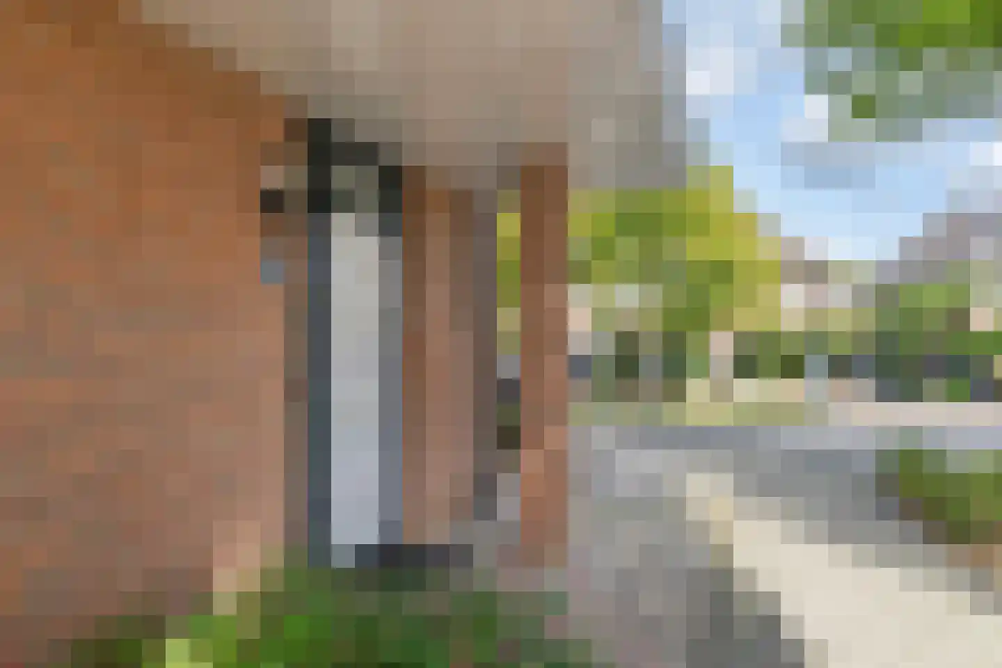 Margrietstraat 29 Breda thumbnail 8