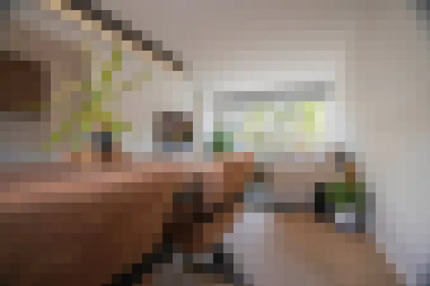 Margrietstraat 29 Duiven thumbnail 13
