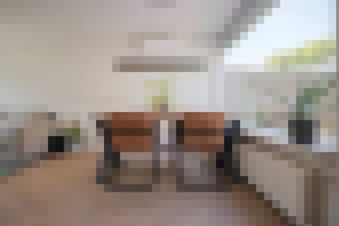 Margrietstraat 29 Duiven thumbnail 15