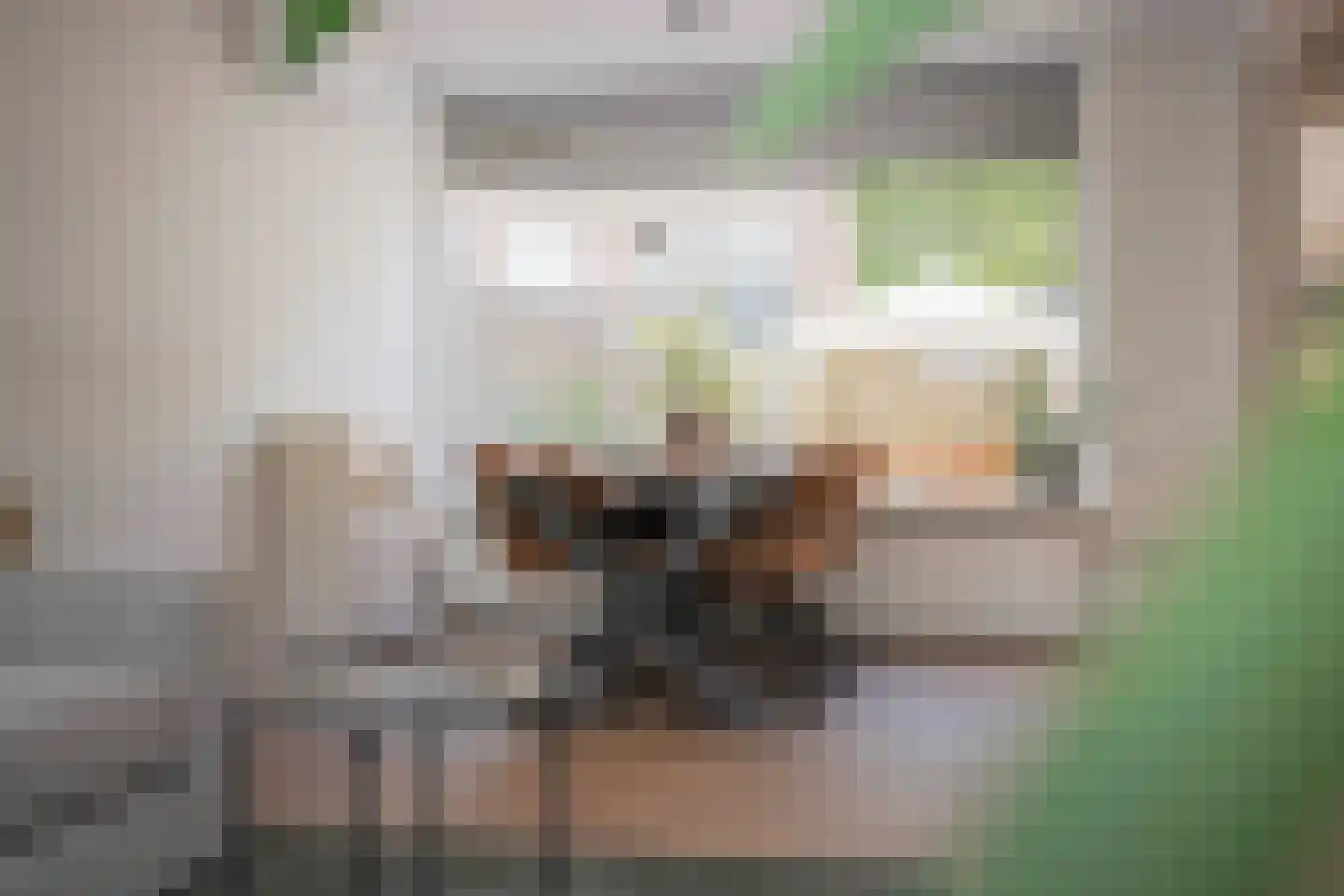 Margrietstraat 29 Duiven thumbnail 4