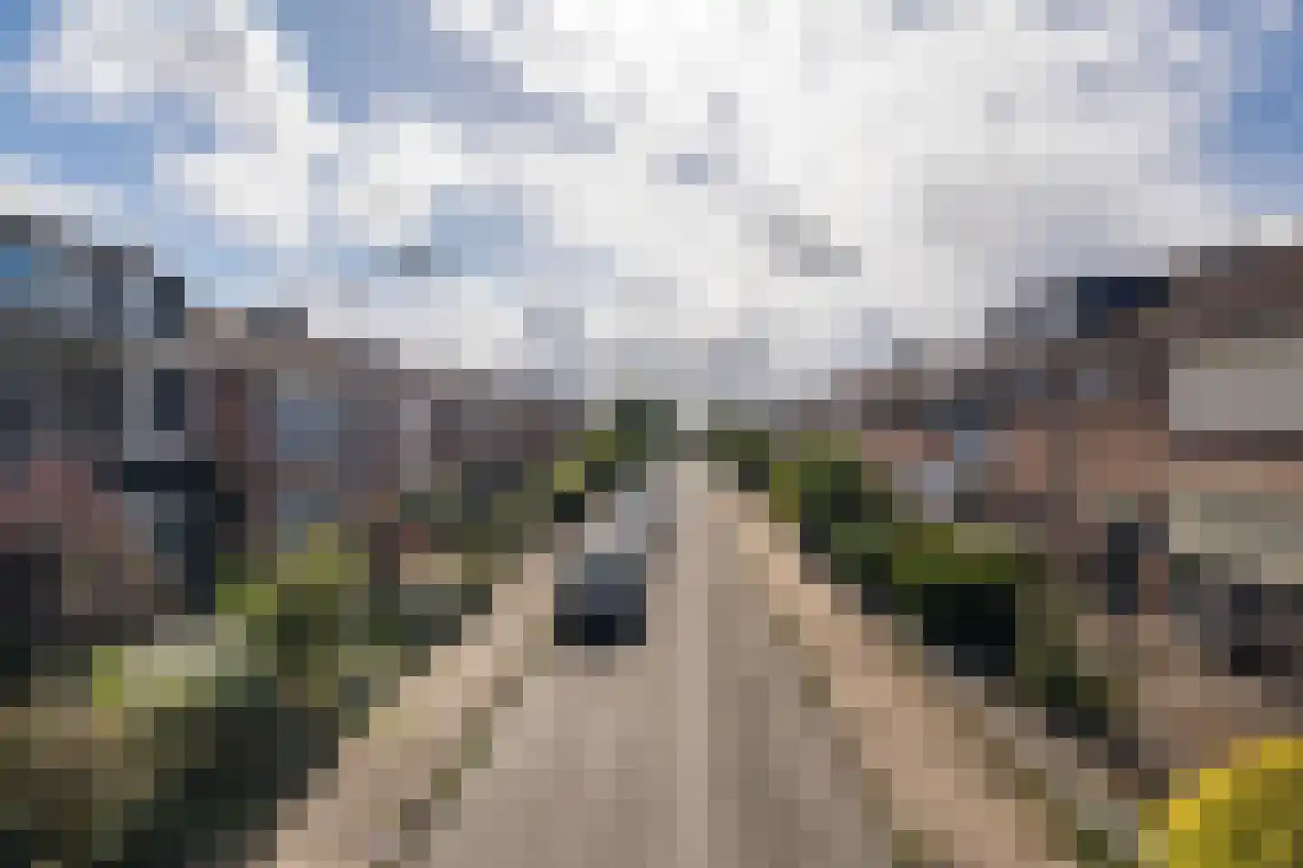 Margrietstraat 29 Duiven thumbnail 50