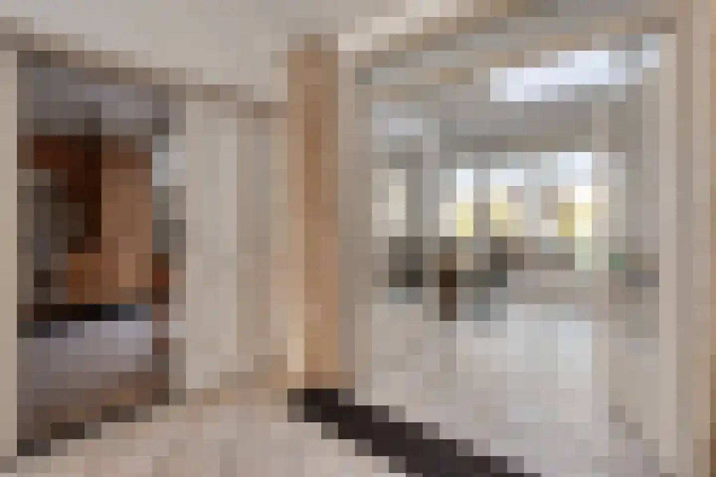 Margrietstraat 3 Asten thumbnail 13