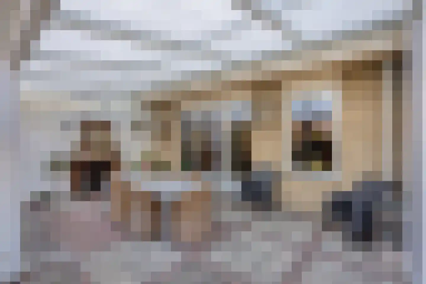 Margrietstraat 3 Asten thumbnail 39