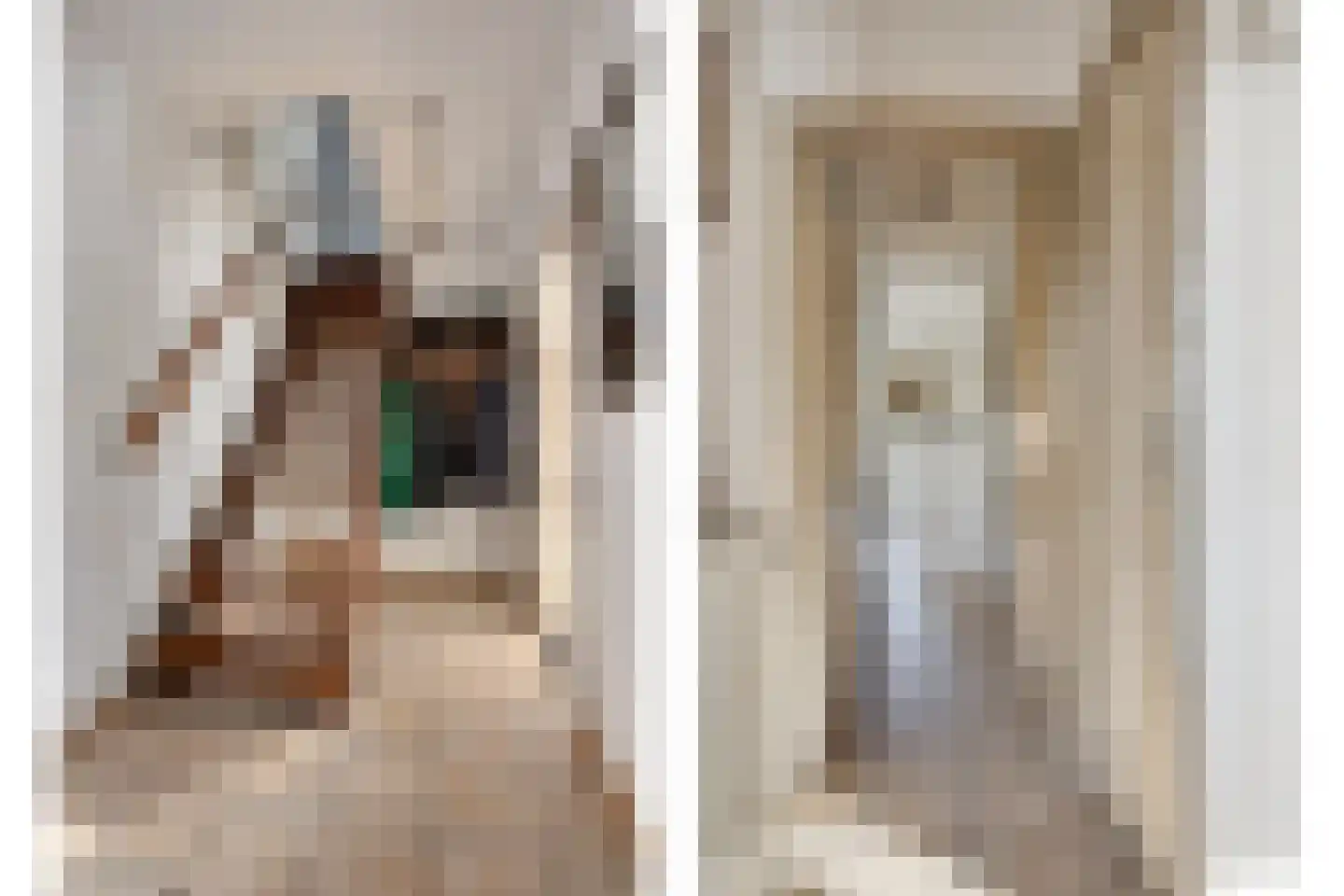 Margrietstraat 3 Asten thumbnail 7
