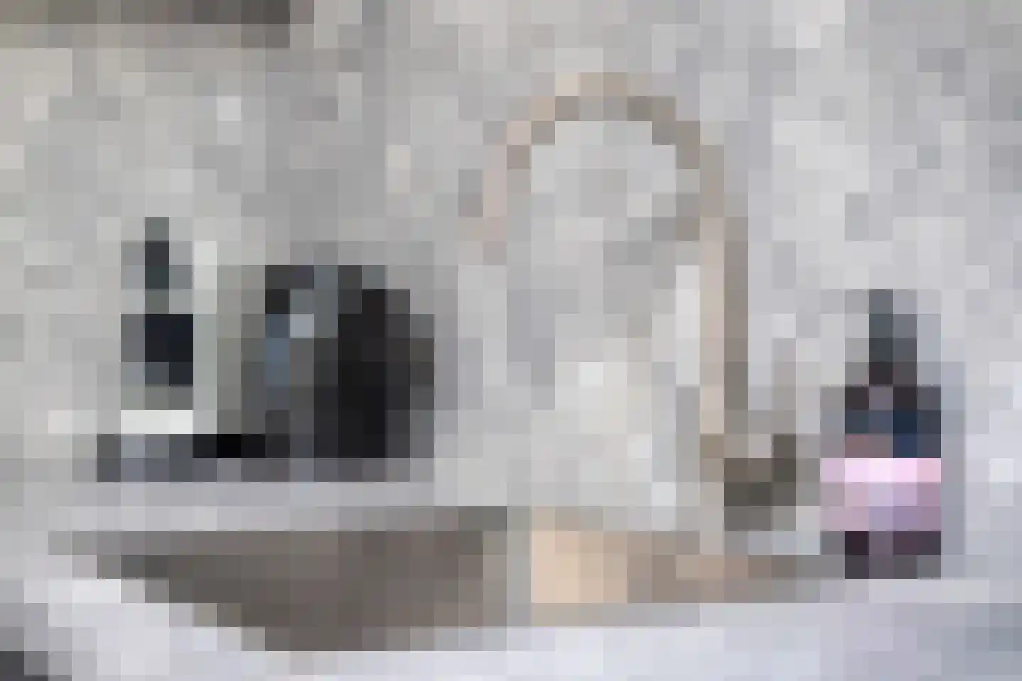 Margrietstraat 3 D Uden thumbnail 21