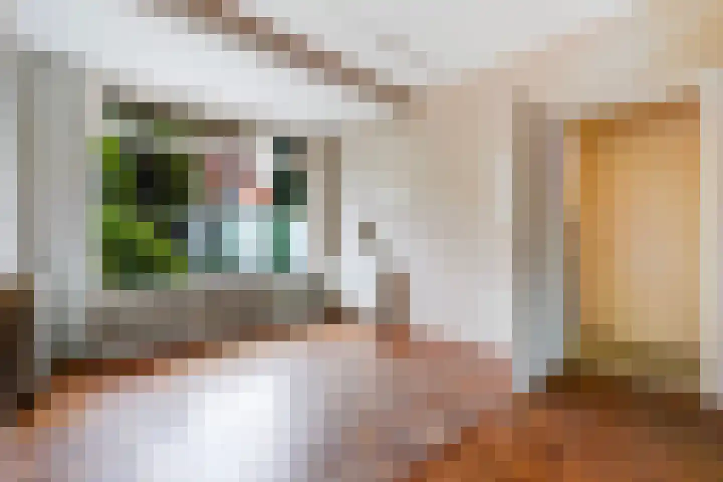 Margrietstraat 3 Den Haag thumbnail 12
