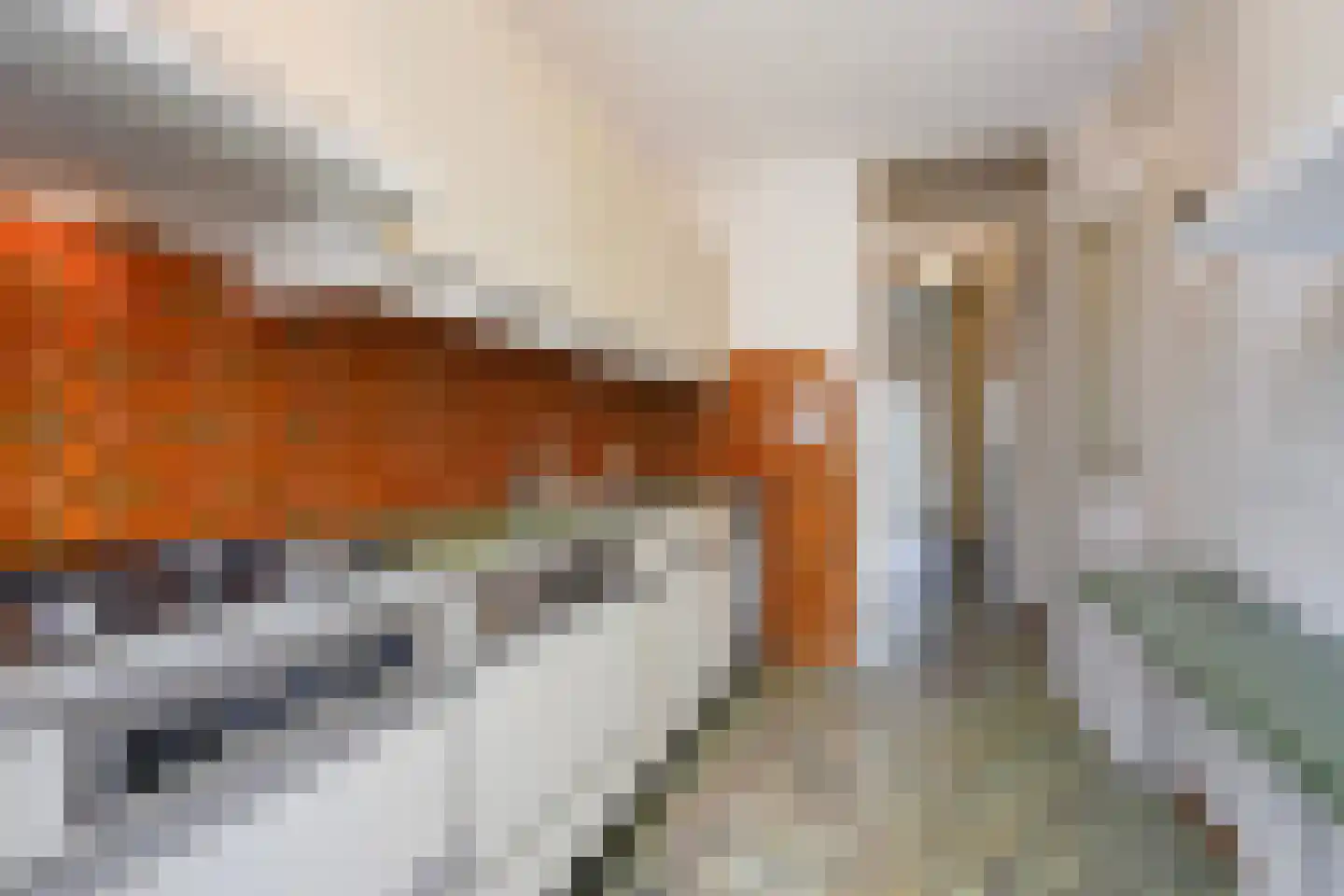 Margrietstraat 3 Den Haag thumbnail 20