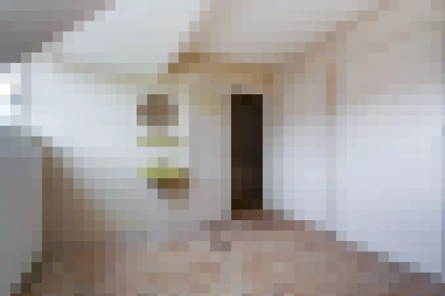Margrietstraat 3 Den Haag thumbnail 41