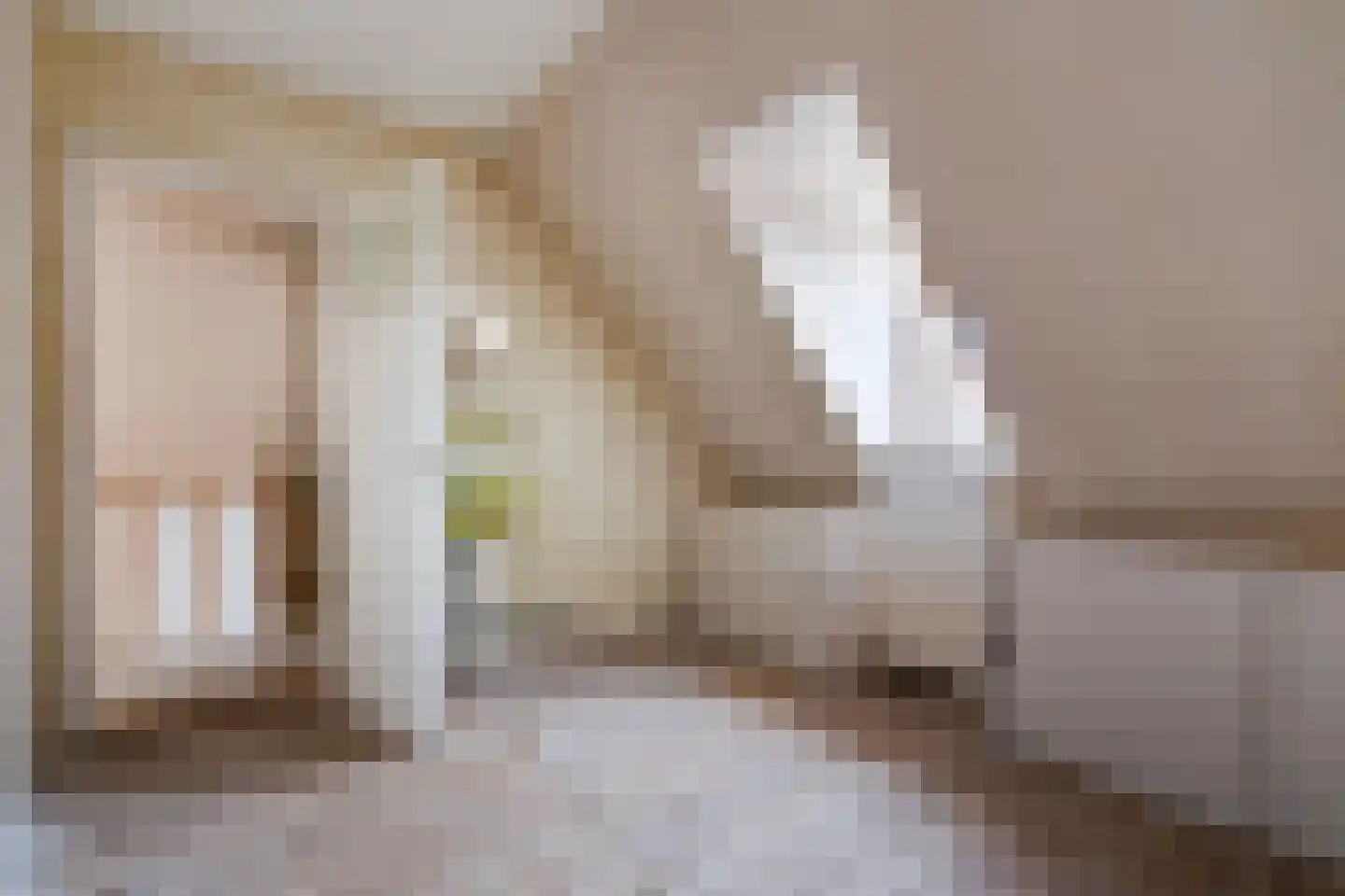 Margrietstraat 3 Den Haag thumbnail 45