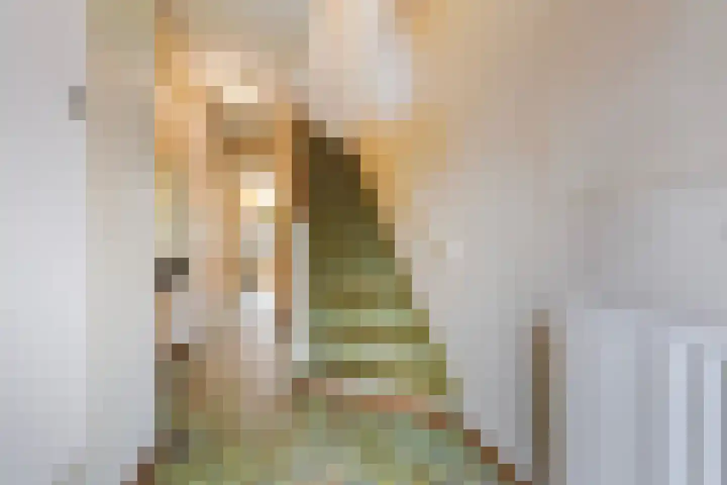 Margrietstraat 3 Den Haag thumbnail 6