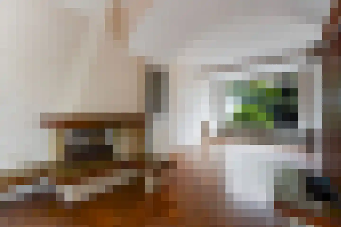 Margrietstraat 3 Den Haag thumbnail 9