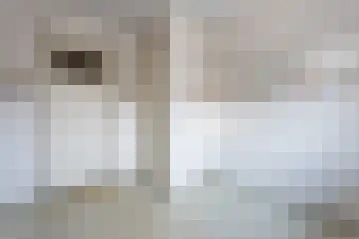 Margrietstraat 3 Erp thumbnail 19