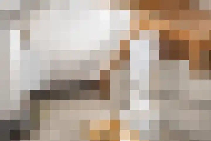 Margrietstraat 3 Erp thumbnail 25
