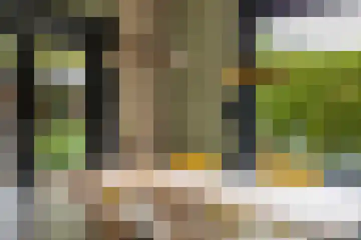Margrietstraat 3 Erp thumbnail 41