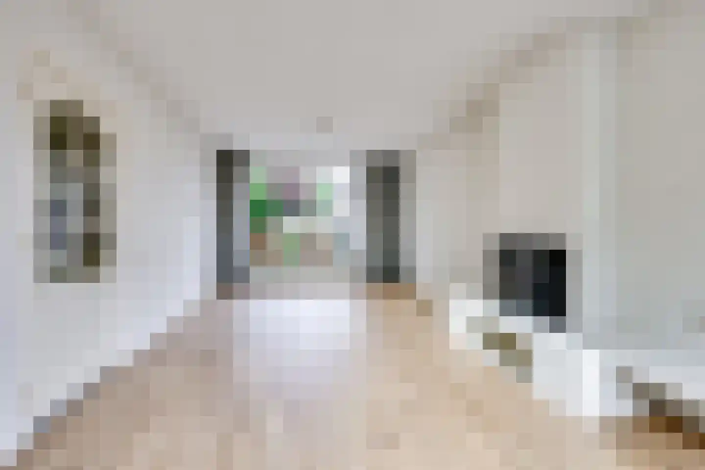 Margrietstraat 3 Hank thumbnail 10