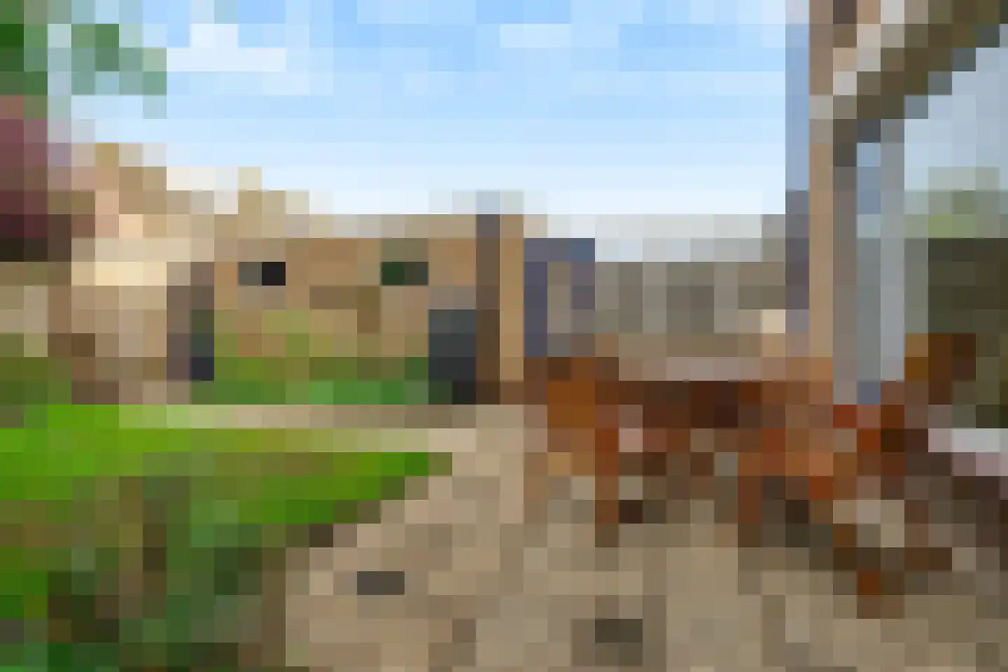 Margrietstraat 3 Hank thumbnail 28