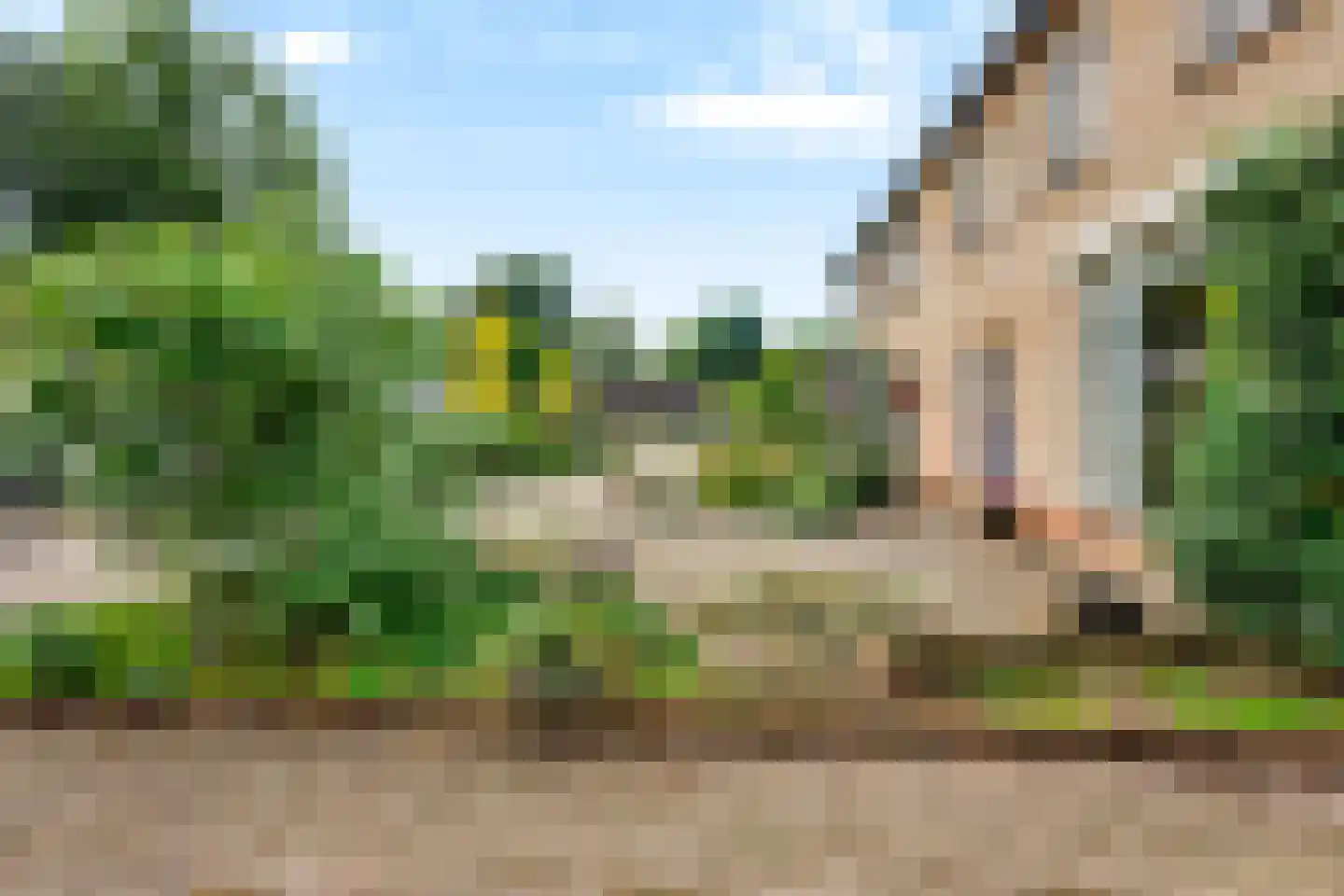 Margrietstraat 3 Hank thumbnail 7