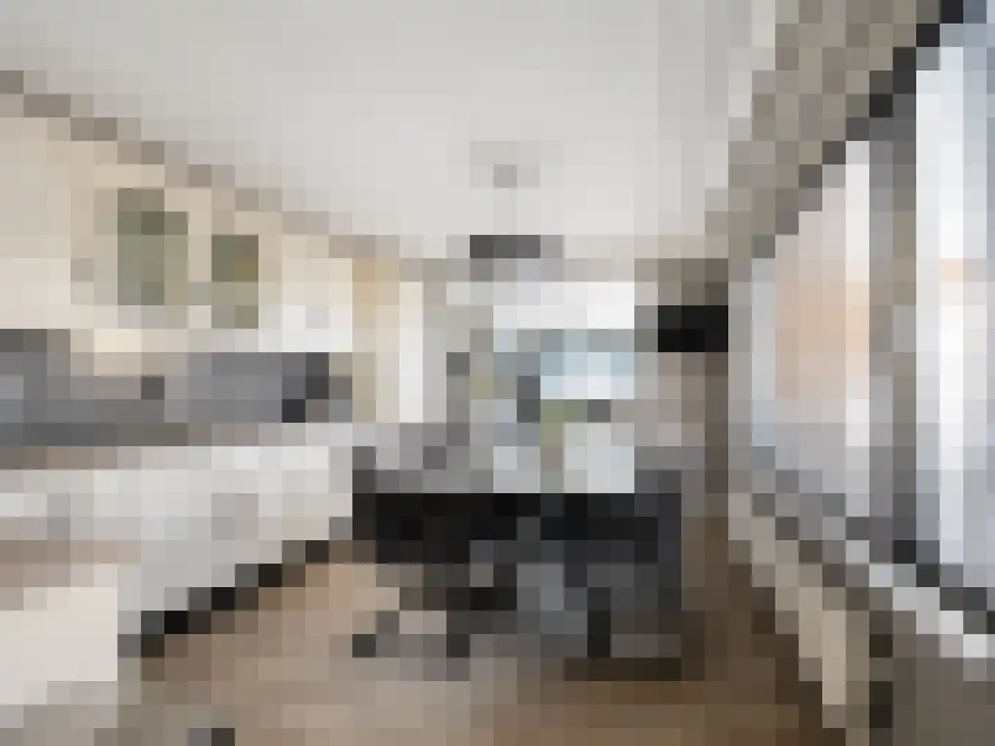Margrietstraat 3 St. Willebrord thumbnail 10