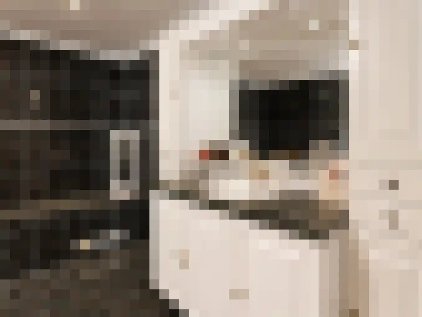 Margrietstraat 3 St. Willebrord thumbnail 13