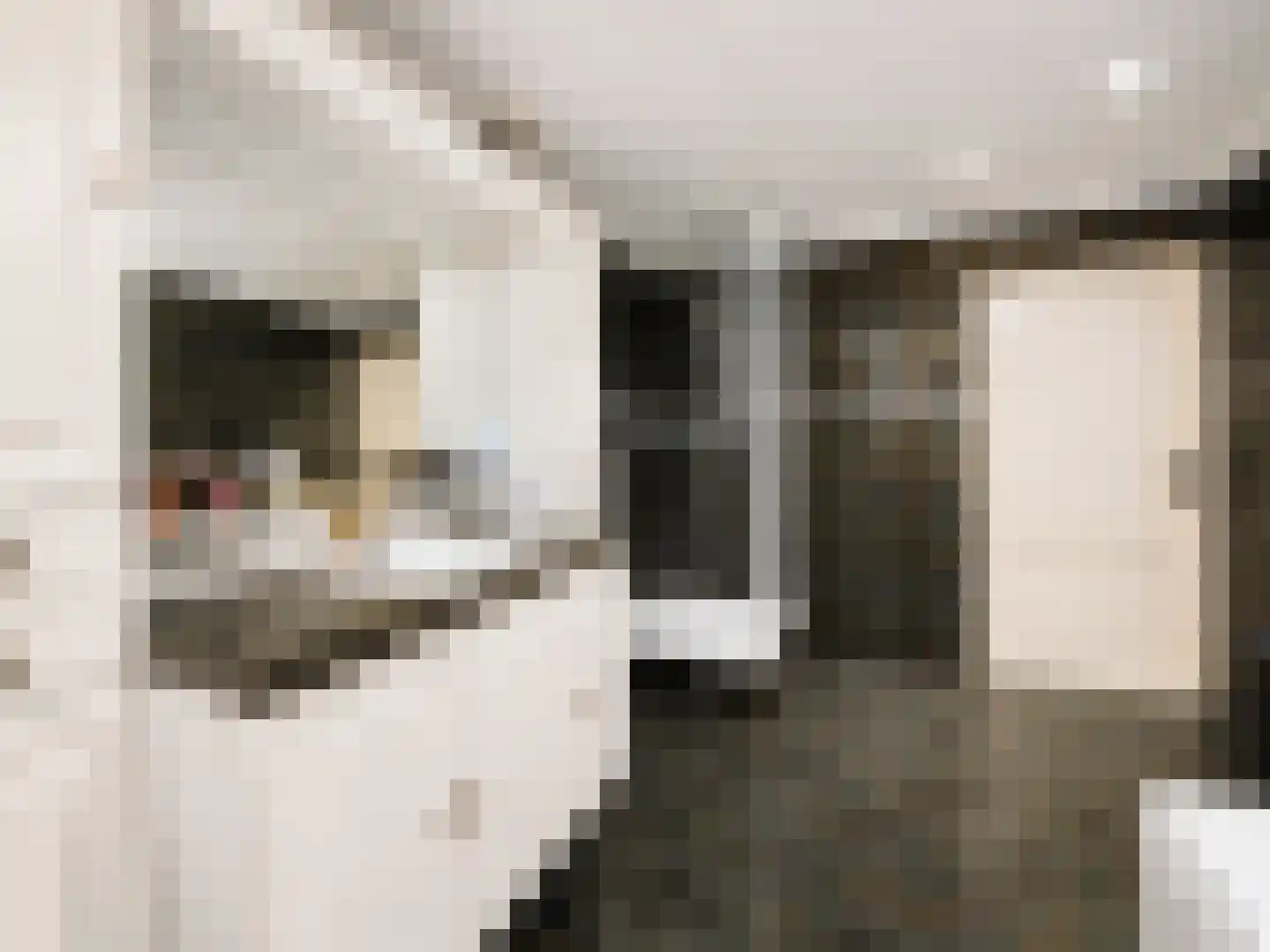 Margrietstraat 3 St. Willebrord thumbnail 15
