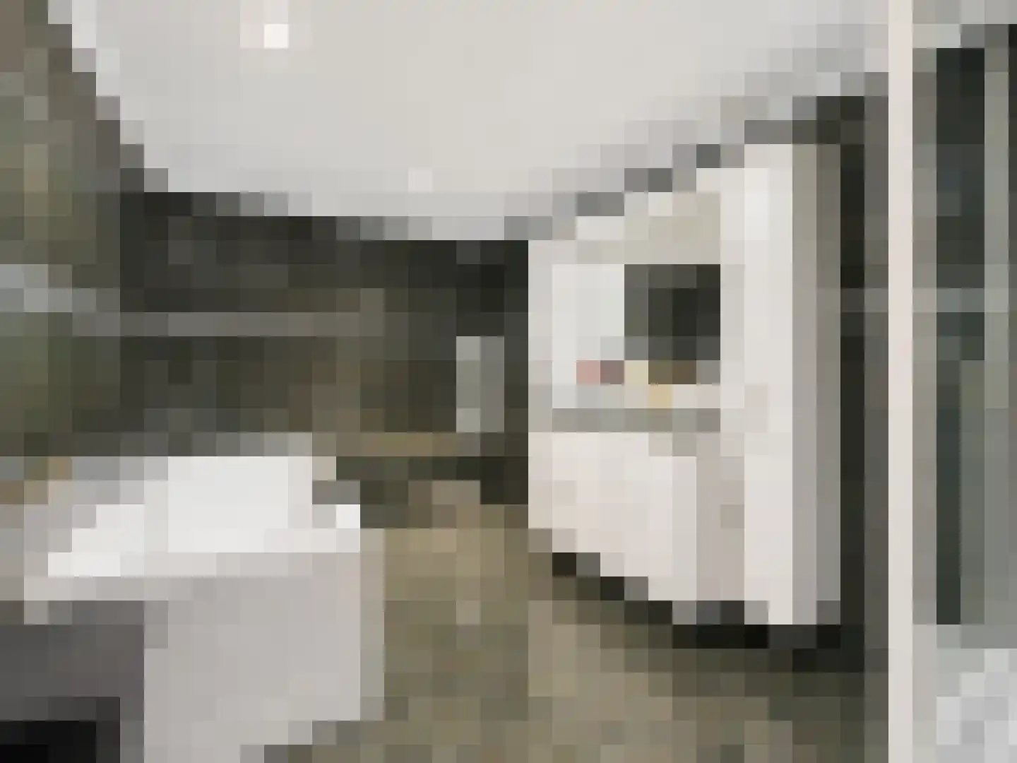 Margrietstraat 3 St. Willebrord thumbnail 18