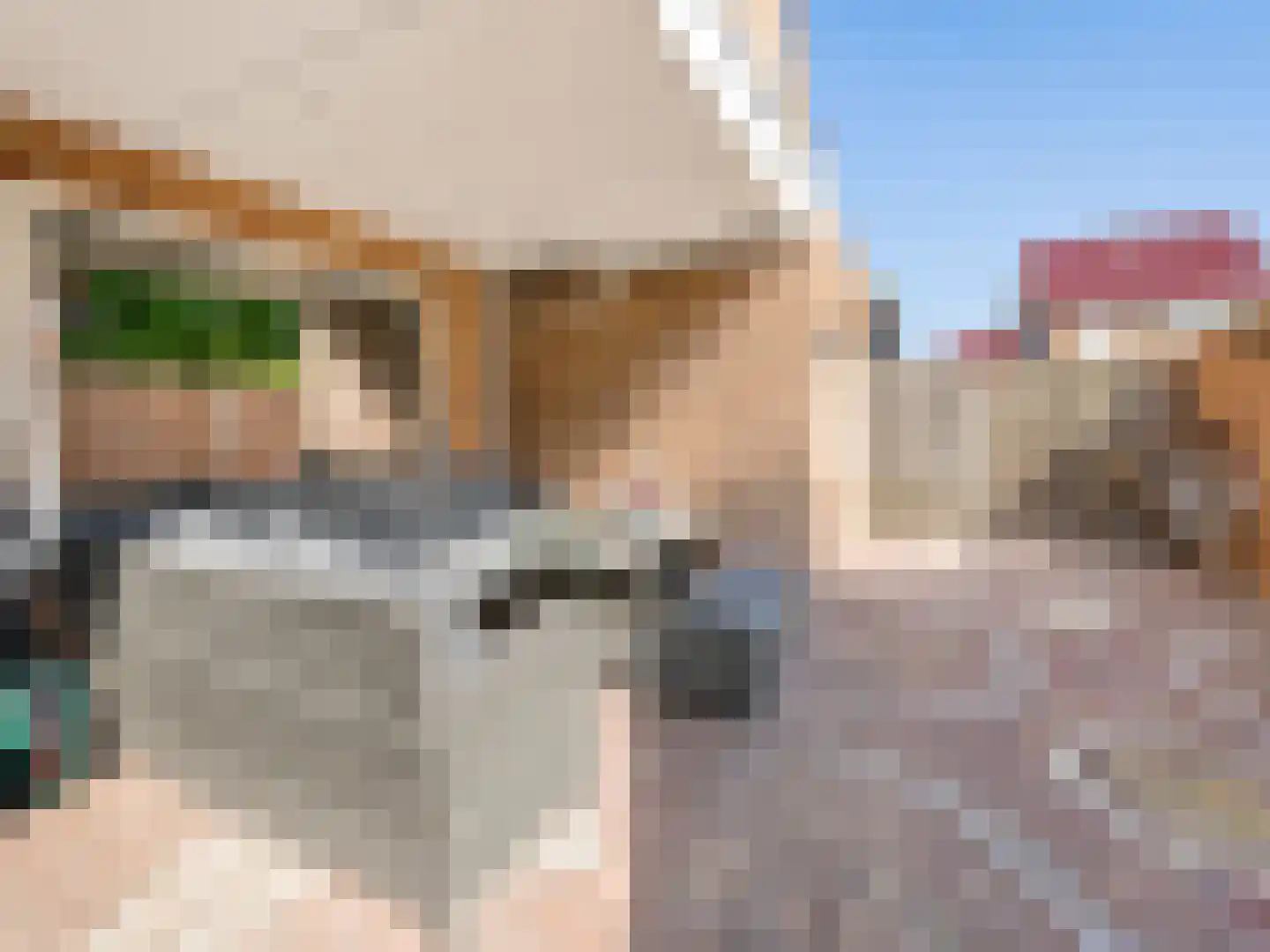Margrietstraat 3 St. Willebrord thumbnail 30