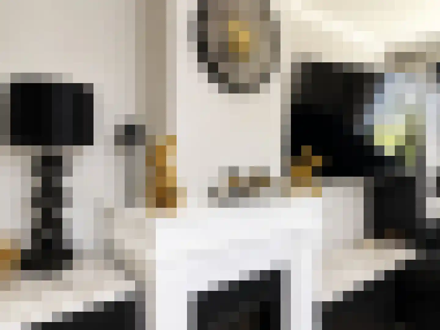 Margrietstraat 3 St. Willebrord thumbnail 5