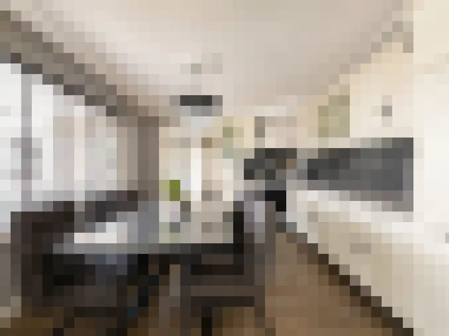 Margrietstraat 3 St. Willebrord thumbnail 6